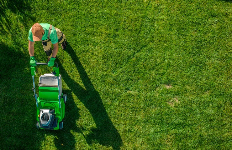 Lawn Moving